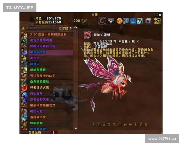 新魔兽世界:宝宝坐骑装备购买攻略 新魔兽世界:宝宝坐骑装备购买攻略