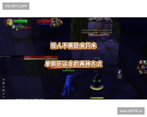 魔兽世界猎人血量提升攻略 魔兽世界猎人血量提升攻略